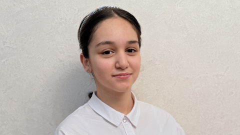 Аракелян Ариана (преп. Васильева Т. В.)